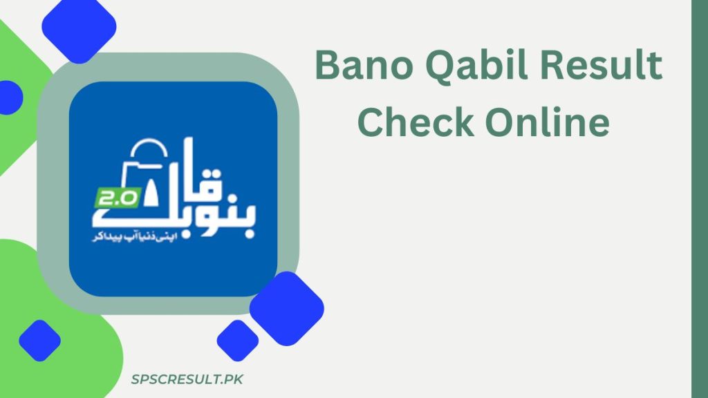 Bano Qabil Result 2024