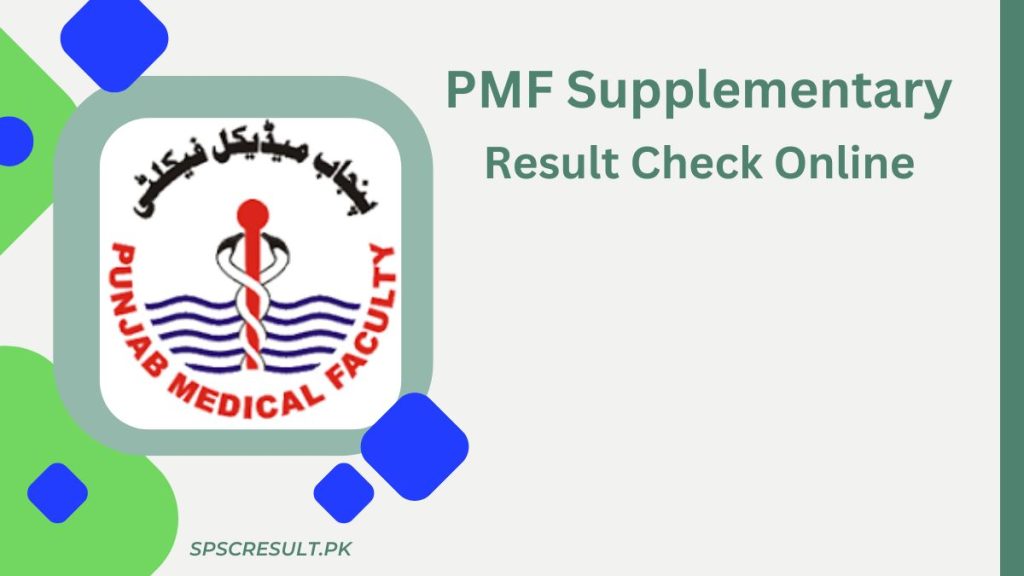 PMF Supplementary Result 2024